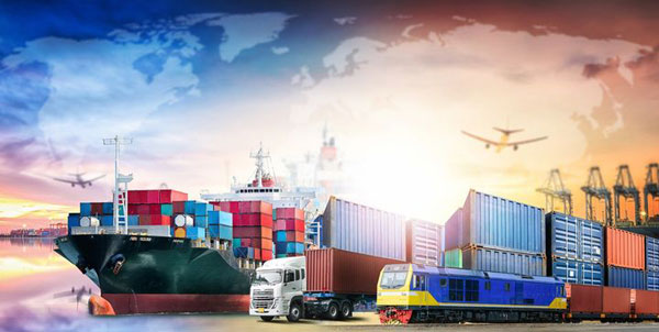 进出口权许可证